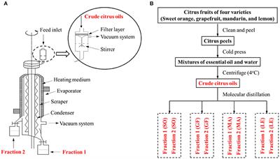 Effects of Molecular Distillation on the Chemical Components, Cleaning, and Antibacterial Abilities of Four Different Citrus Oils